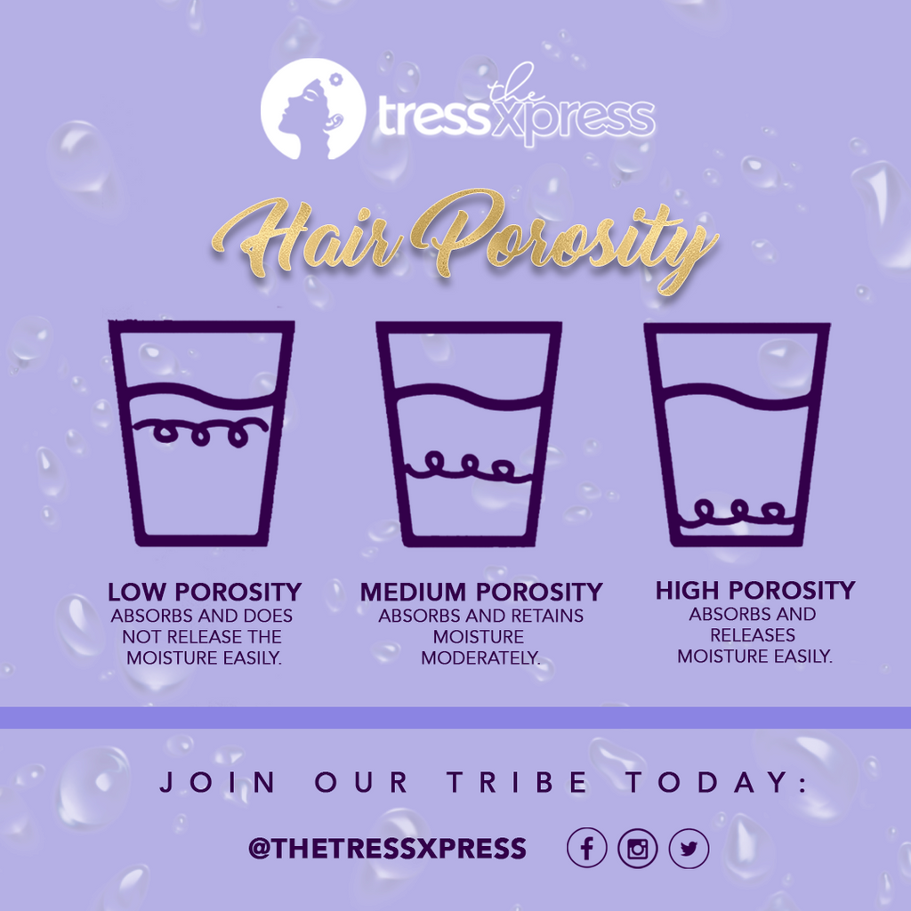 All You Need To Know About Hair Porosity